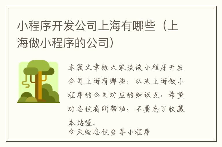 小程序开发公司上海有哪些(上海做小程序的公司)