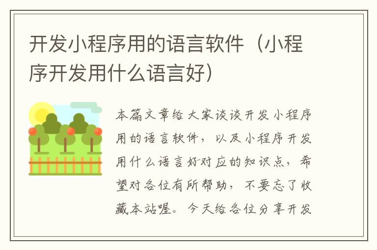 开发小程序用的语言软件(小程序开发用什么语言好)