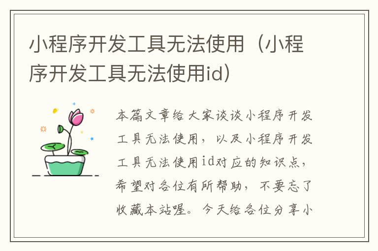 小程序开发工具无法使用(小程序开发工具无法使用id)