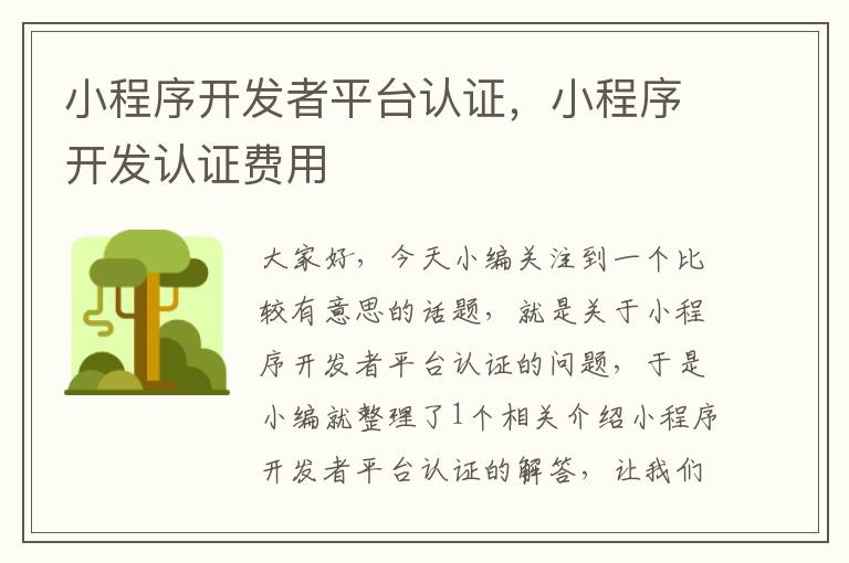 小程序开发者平台认证,小程序开发认证费用