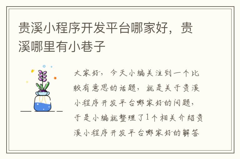 贵溪小程序开发平台哪家好,贵溪哪里有小巷子