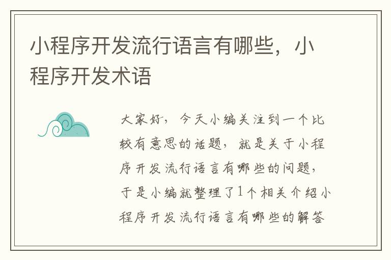 小程序开发流行语言有哪些,小程序开发术语