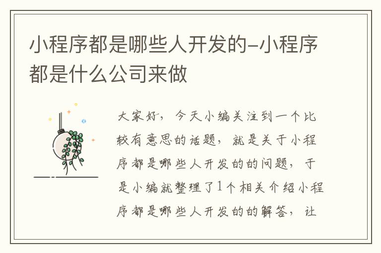 小程序都是哪些人开发的-小程序都是什么公司来做