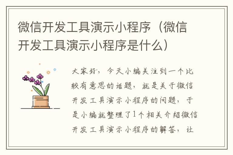 微信开发工具演示小程序(微信开发工具演示小程序是什么)