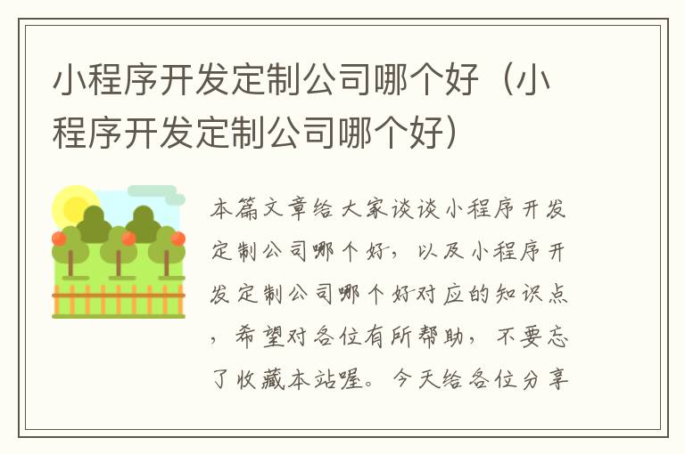 小程序开发定制公司哪个好(小程序开发定制公司哪个好)