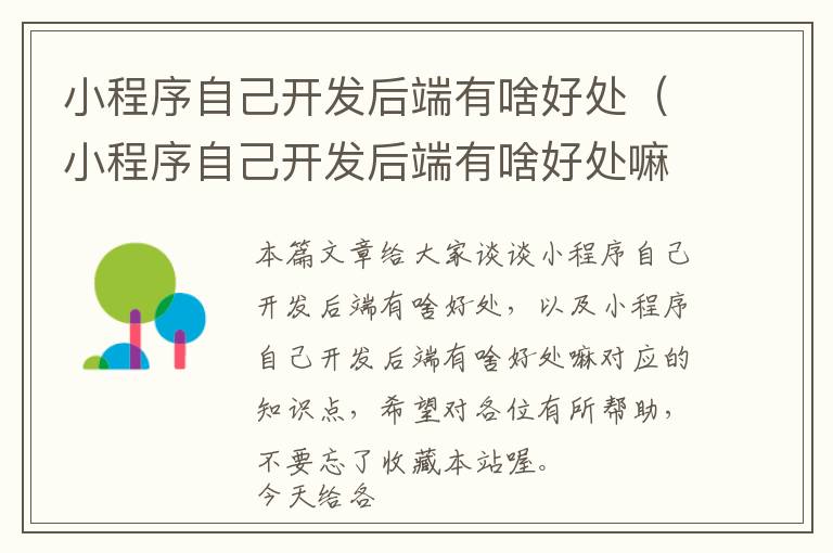 小程序自己开发后端有啥好处(小程序自己开发后端有啥好处嘛)
