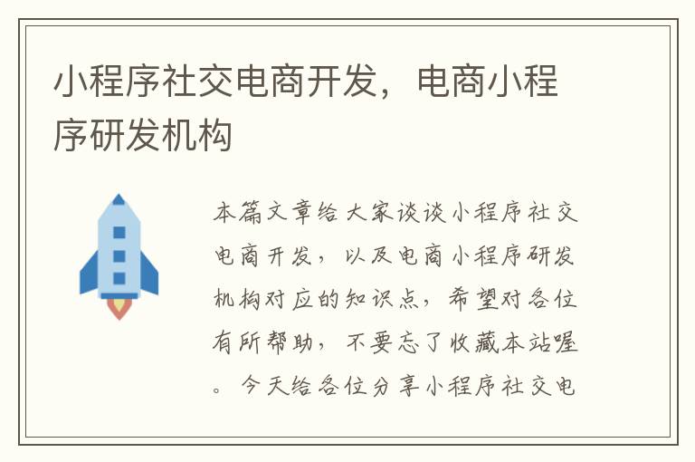 小程序社交电商开发,电商小程序研发机构
