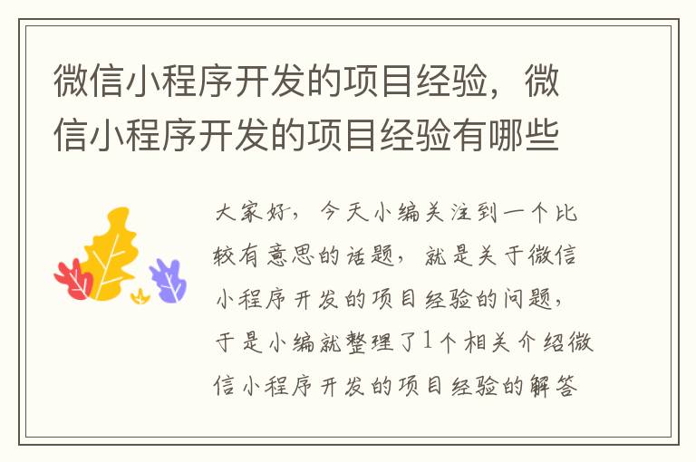 微信小程序开发的项目经验,微信小程序开发的项目经验有哪些