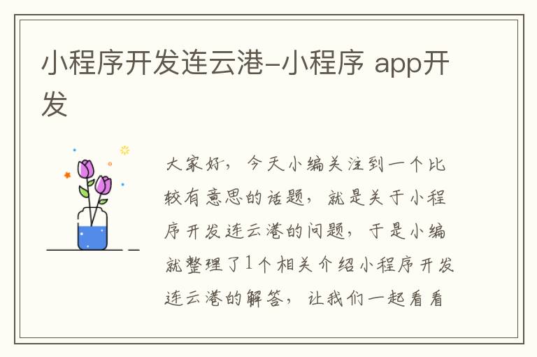 小程序开发连云港-小程序 app开发
