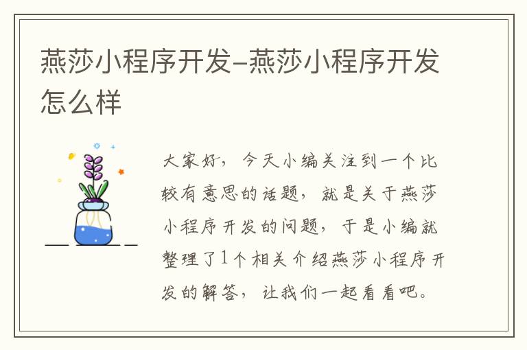 燕莎小程序开发-燕莎小程序开发怎么样