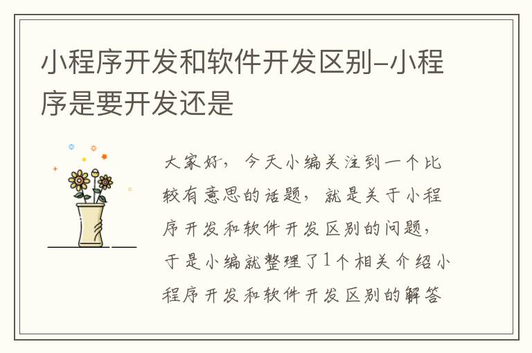 小程序开发和软件开发区别-小程序是要开发还是