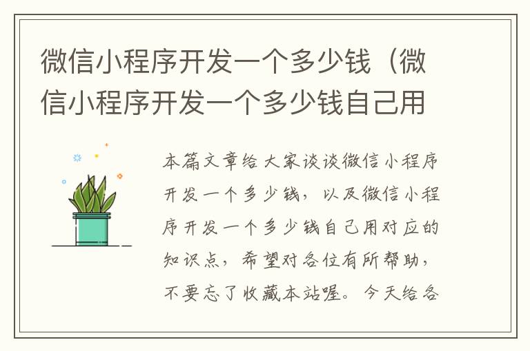 微信小程序开发一个多少钱(微信小程序开发一个多少钱自己用)