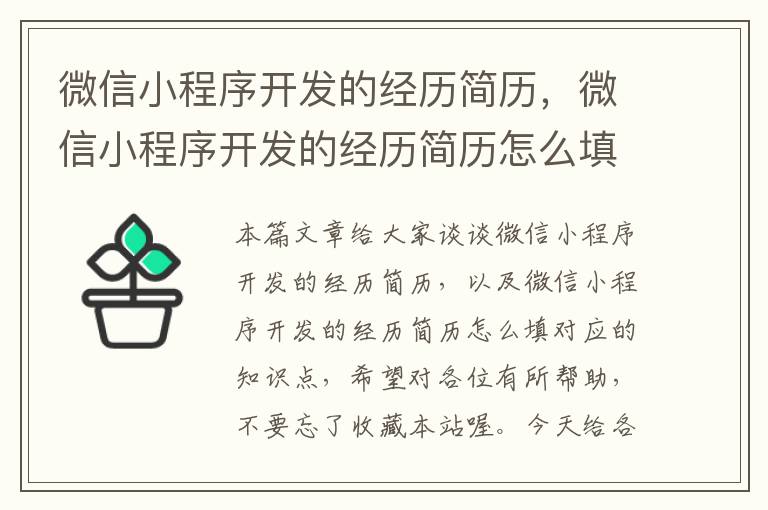 微信小程序开发的经历简历,微信小程序开发的经历简历怎么填
