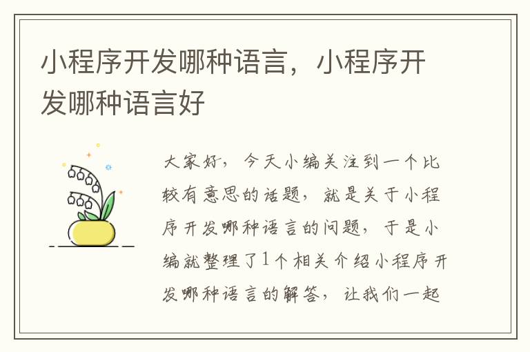小程序开发哪种语言,小程序开发哪种语言好