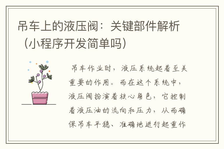 吊车上的液压阀:关键部件解析(小程序开发简单吗)