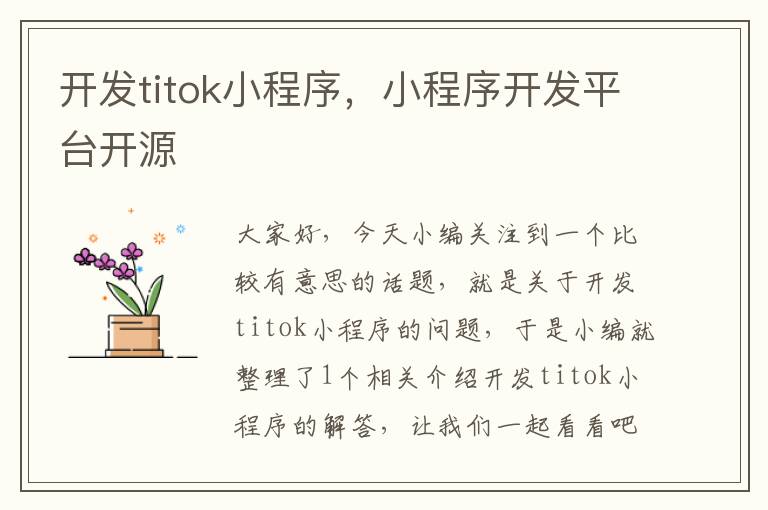 开发titok小程序,小程序开发平台开源