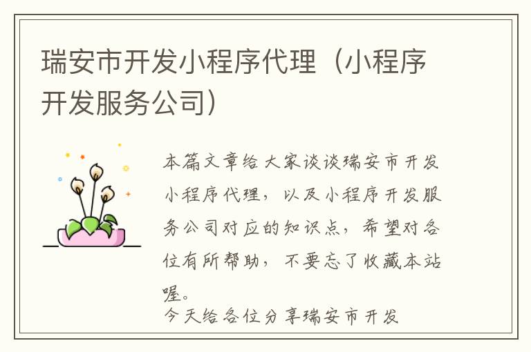 瑞安市开发小程序代理(小程序开发服务公司)