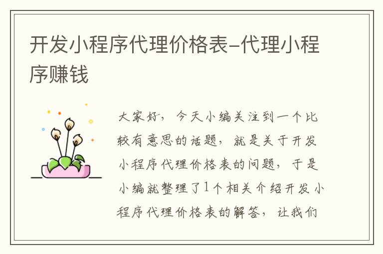 开发小程序代理价格表-代理小程序赚钱