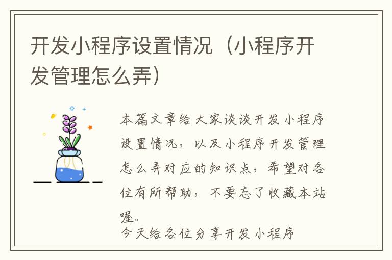 开发小程序设置情况(小程序开发管理怎么弄)