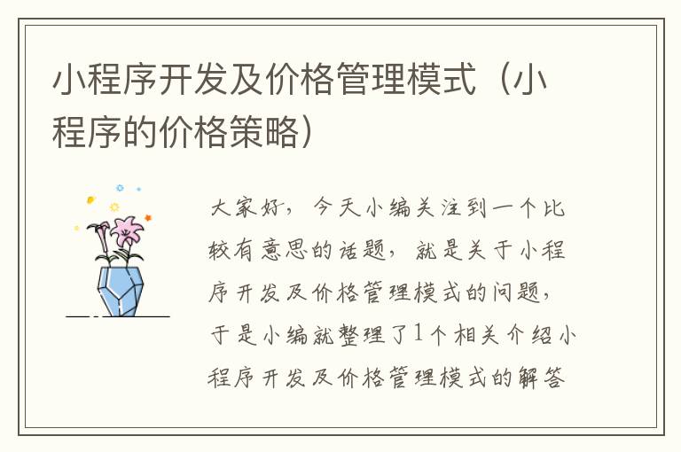 小程序开发及价格管理模式(小程序的价格策略)