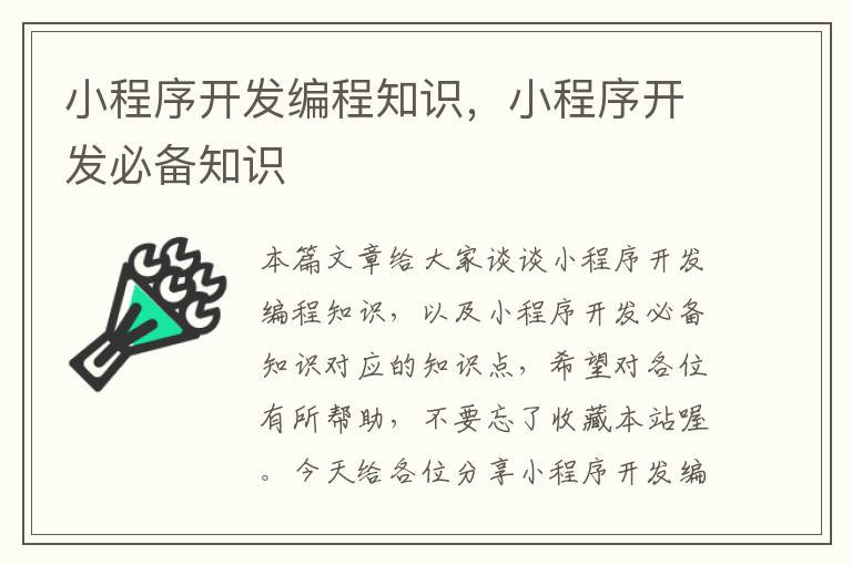 小程序开发编程知识,小程序开发必备知识