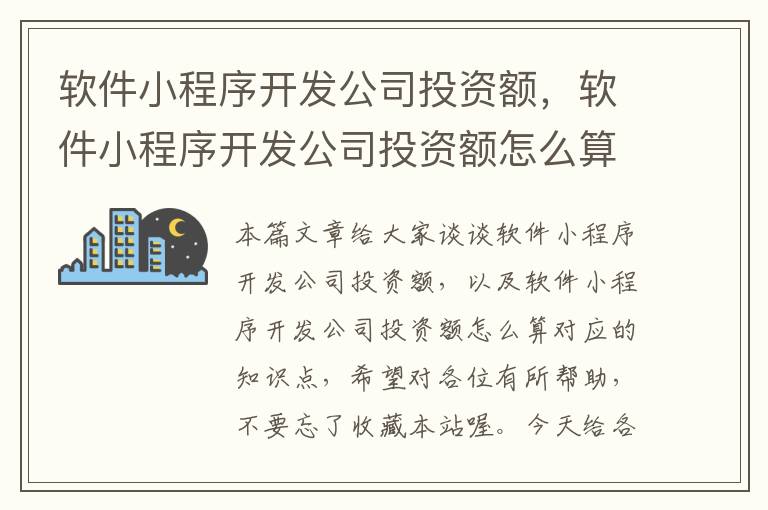 软件小程序开发公司投资额,软件小程序开发公司投资额怎么算