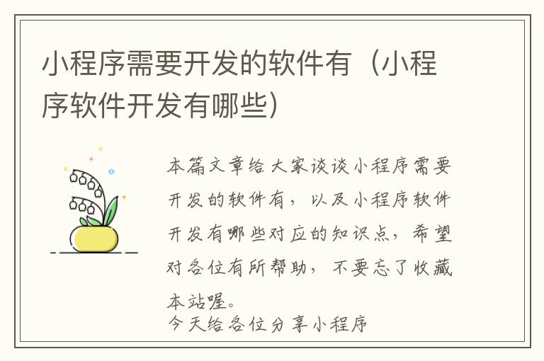 小程序需要开发的软件有(小程序软件开发有哪些)