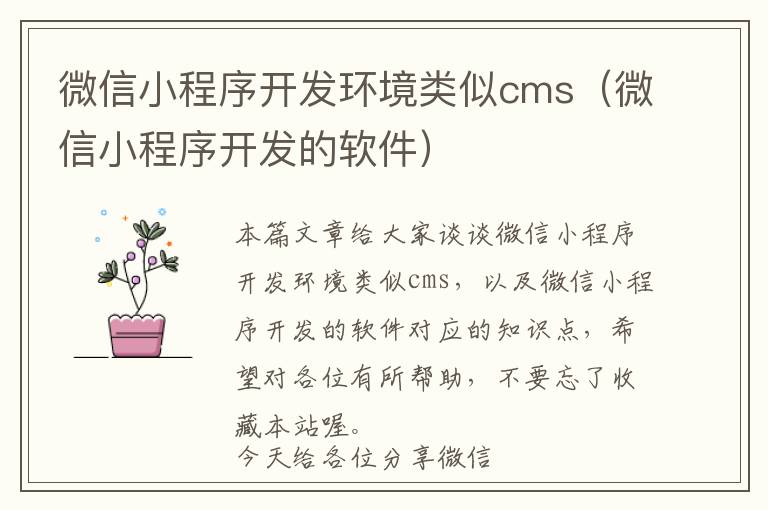 微信小程序开发环境类似cms(微信小程序开发的软件)
