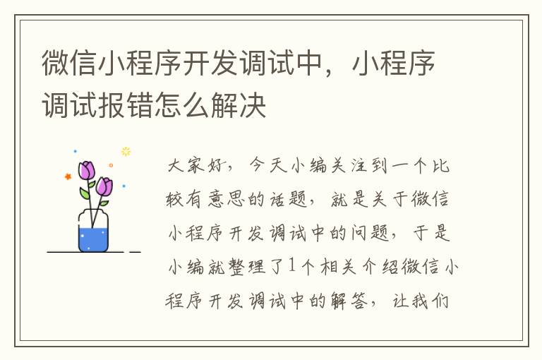 微信小程序开发调试中,小程序调试报错怎么解决