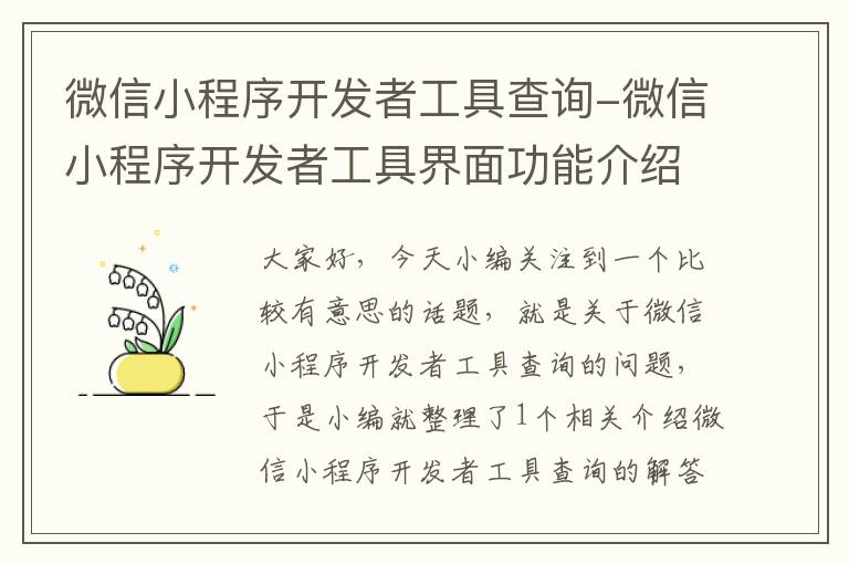 微信小程序开发者工具查询-微信小程序开发者工具界面功能介绍