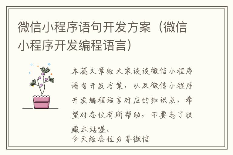 微信小程序语句开发方案(微信小程序开发编程语言)