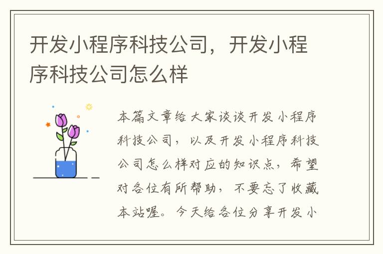 开发小程序科技公司,开发小程序科技公司怎么样
