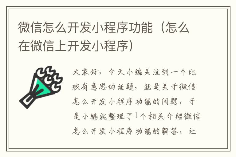 微信怎么开发小程序功能(怎么在微信上开发小程序)