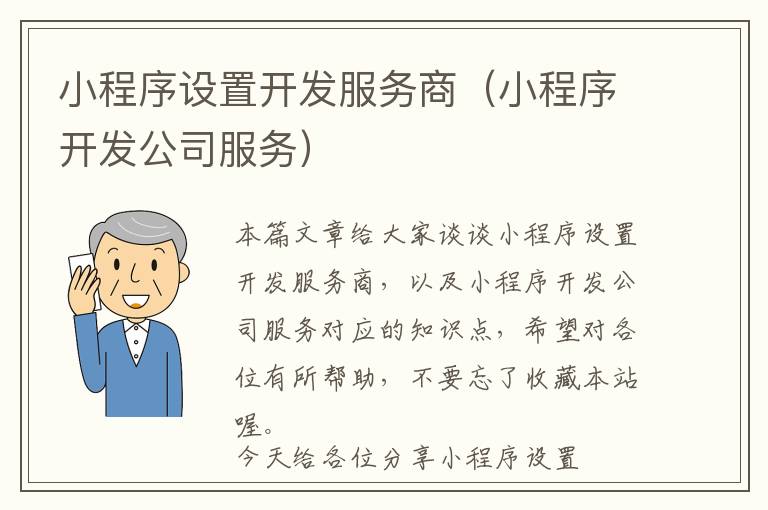 小程序设置开发服务商(小程序开发公司服务)