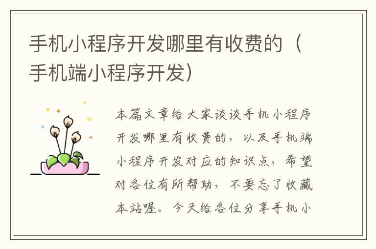 手机小程序开发哪里有收费的(手机端小程序开发)