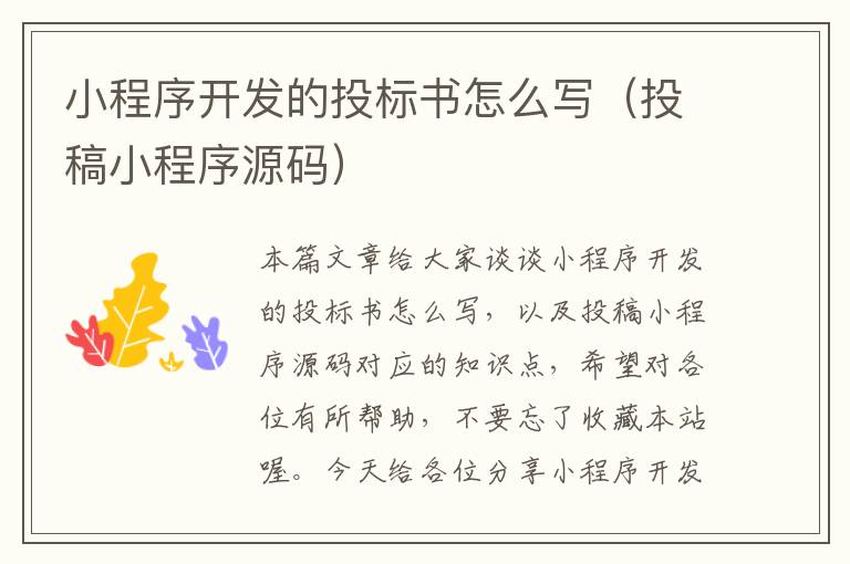 小程序开发的投标书怎么写(投稿小程序源码)