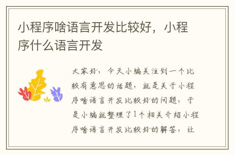 小程序啥语言开发比较好,小程序什么语言开发