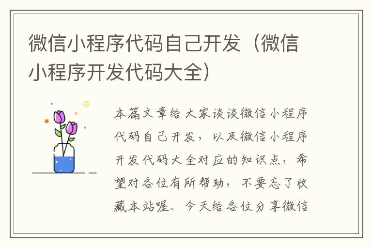 微信小程序代码自己开发(微信小程序开发代码大全)