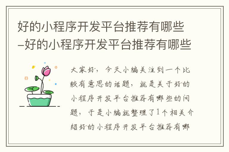 好的小程序开发平台推荐有哪些-好的小程序开发平台推荐有哪些公司