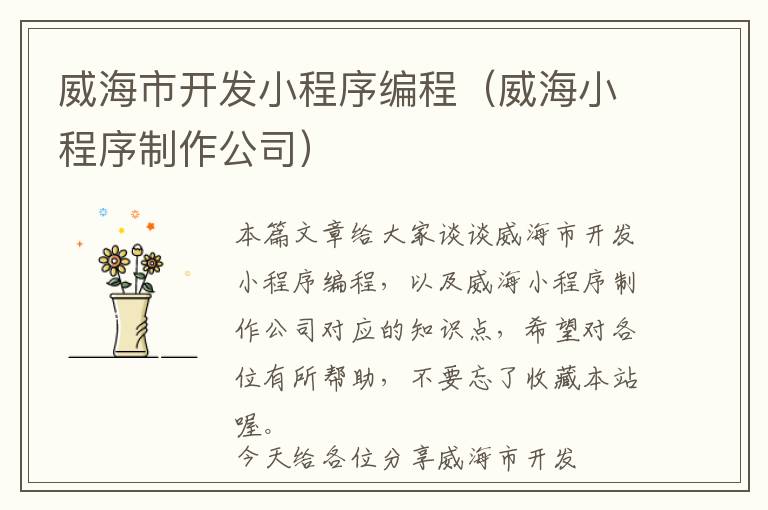 威海市开发小程序编程(威海小程序制作公司)