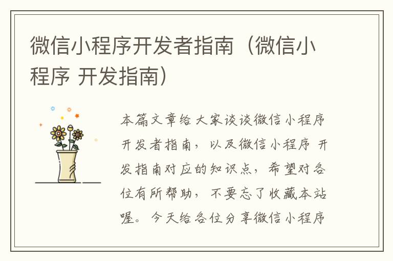 微信小程序开发者指南(微信小程序 开发指南)