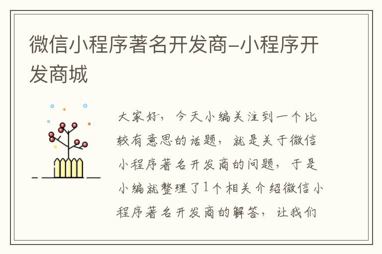微信小程序著名开发商-小程序开发商城