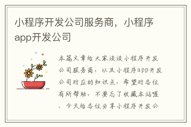 小程序开发公司服务商,小程序app开发公司