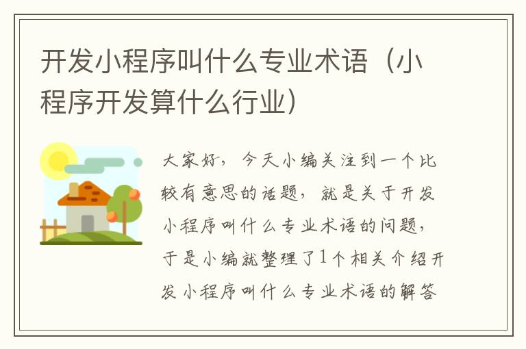 开发小程序叫什么专业术语(小程序开发算什么行业)