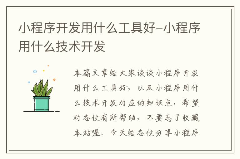 小程序开发用什么工具好-小程序用什么技术开发
