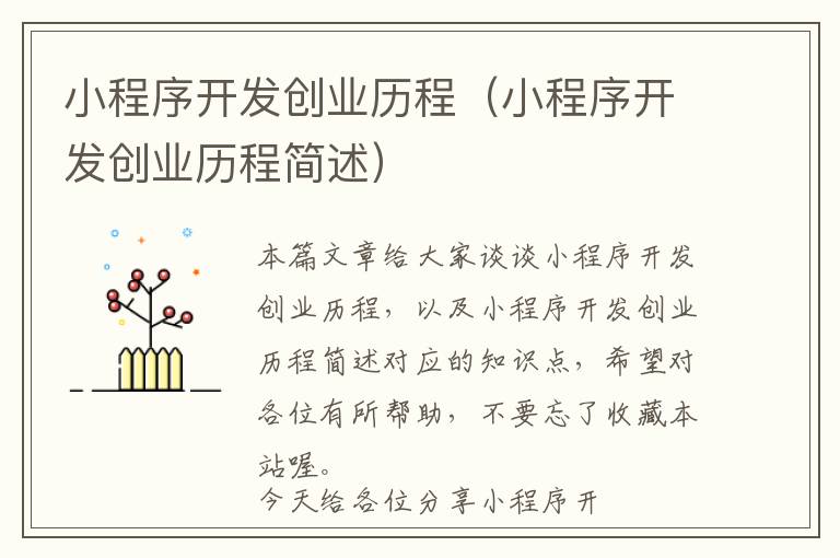 小程序开发创业历程(小程序开发创业历程简述)
