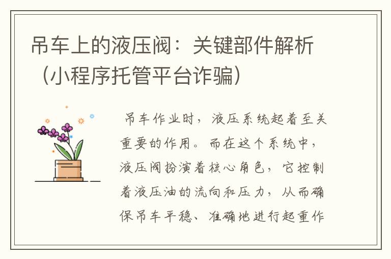吊车上的液压阀:关键部件解析(小程序托管平台诈骗)