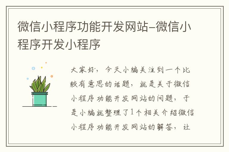 微信小程序功能开发网站-微信小程序开发小程序