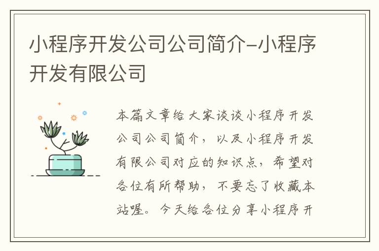 小程序开发公司公司简介-小程序开发有限公司