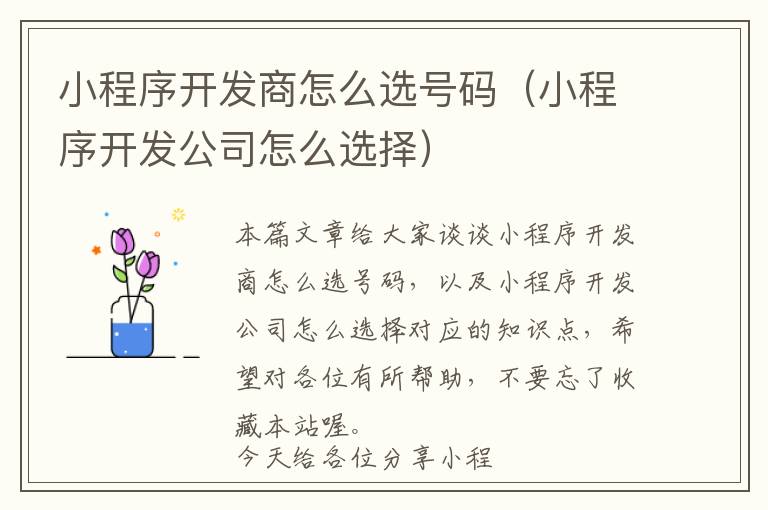 小程序开发商怎么选号码(小程序开发公司怎么选择)